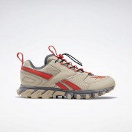 Reebok DMXpert Beige/Orange/Grey Men