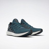 Reebok Floatride Run 2 Teal/Black/White Men