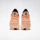 Reebok Floatride Run 2 Sunglow/Black Women